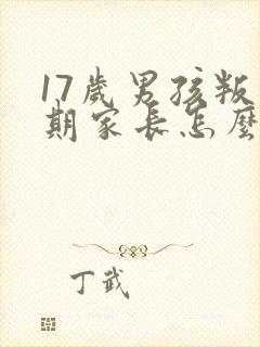 17岁男孩叛逆期家长怎么办封面