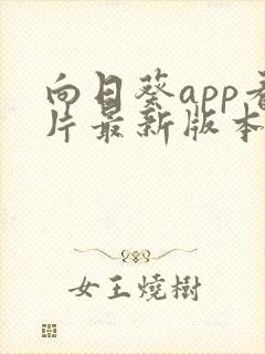 向日葵app看片最新版本