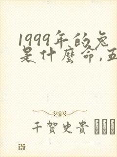 1999年的兔是什么命,五行属性