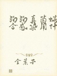 狗狗真菌螨虫混合感染用什么药最好