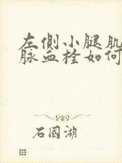 左侧小腿肌间静脉血栓如何治疗封面