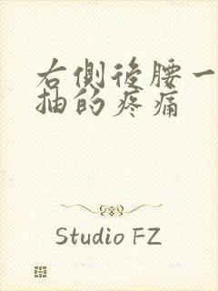右侧后腰一抽一抽的疼痛封面