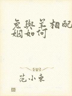 兔与羊相配的婚姻如何