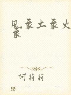 风象土象火象水象