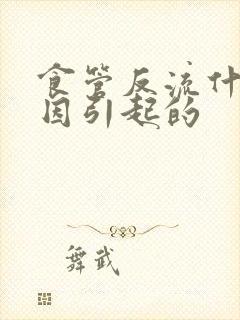 食管反流什么原因引起的