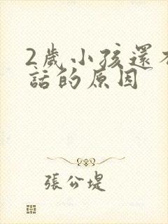 2岁小孩还不说话的原因封面