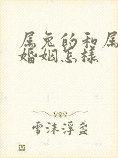 属兔的和属虎的婚姻怎样