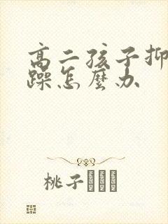 高二孩子抑郁狂躁怎么办封面