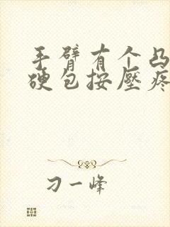 手臂有个凸起的硬包按压疼