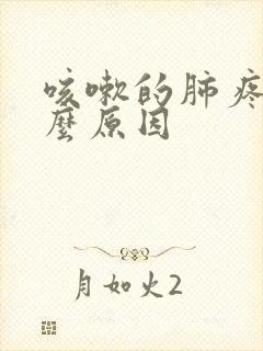 咳嗽的肺疼是什么原因