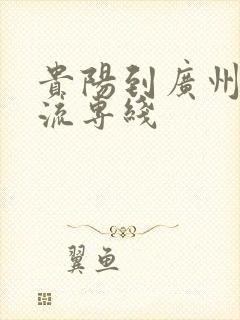 贵阳到广州的物流专线