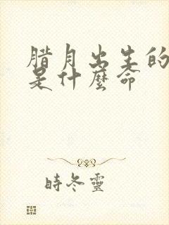 腊月出生的男孩是什么命封面