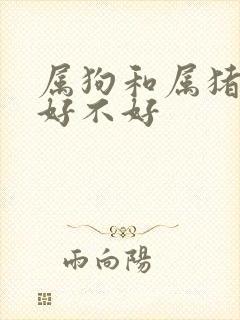 属狗和属猪婚姻好不好封面