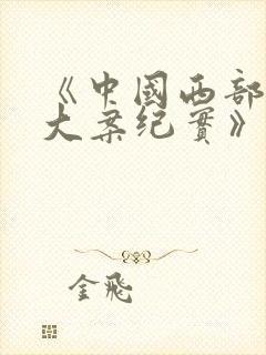 《中国西部刑侦大案纪实》纪录片