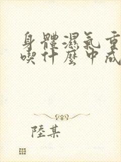 身体湿气重脾虚吃什么中成药好