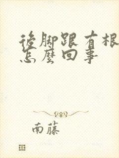 后脚跟有根筋疼怎么回事