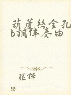 葫芦丝金孔雀降b调伴奏曲