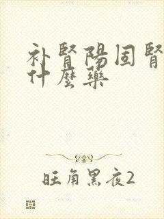 补肾阳固肾精吃什么药