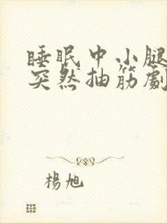 睡眠中小腿肌肉突然抽筋剧痛