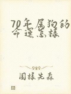 70年属狗的人命运怎样