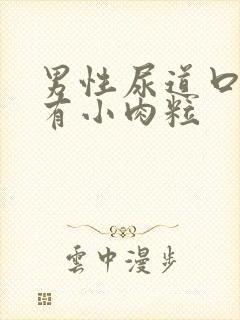 男性尿道口内侧有小肉粒