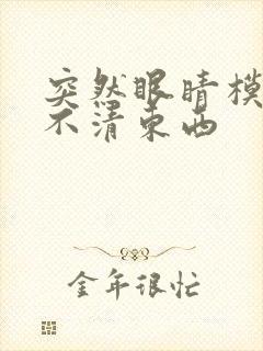 突然眼睛模糊看不清东西