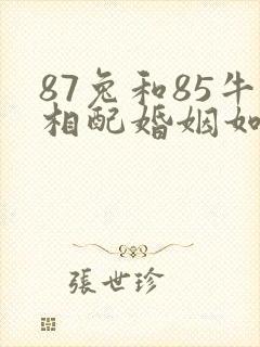 87兔和85牛相配婚姻如何