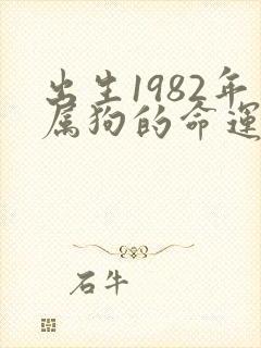 出生1982年属狗的命运如何啊