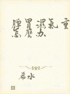 脾胃湿气重火大怎么办封面