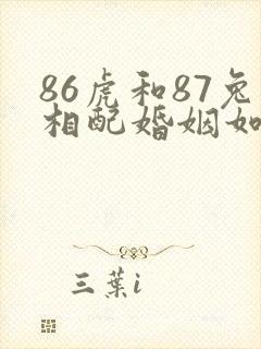 86虎和87兔相配婚姻如何