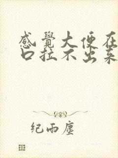 感觉大便在肛门口拉不出来是什么原因