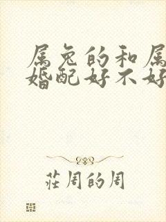 属兔的和属狗的婚配好不好