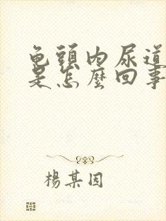 龟头内尿道疼痛是怎么回事