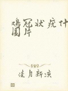 鸡冠状疣什么样图片