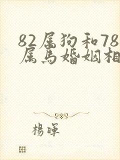 82属狗和78属马婚姻相配吗