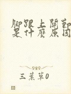 脚跟上关节浮肿是什么原因