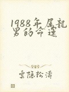 1988年属龙男的命运