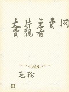 大片免费网站免费观看