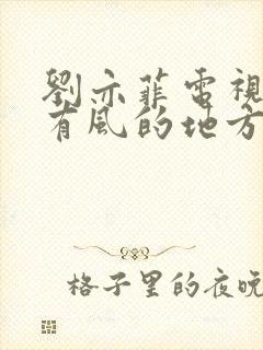 刘亦菲电视剧去有风的地方