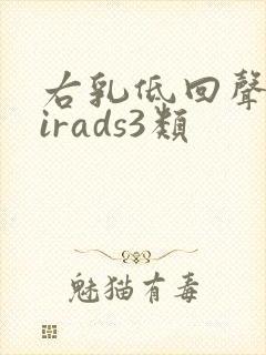 右乳低回声区birads3类