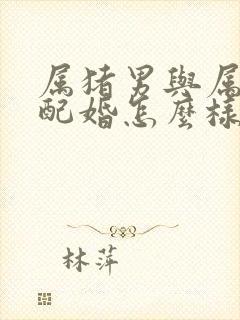 属猪男与属龙女配婚怎么样