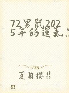 72男鼠2025年的运气怎样