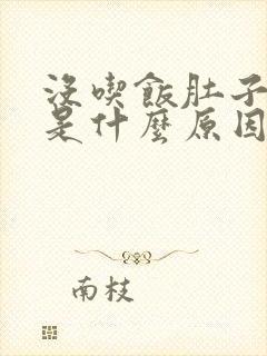 没吃饭肚子胀气是什么原因封面