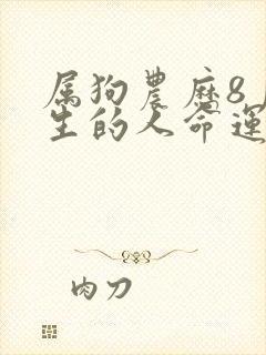 属狗农历8月出生的人命运