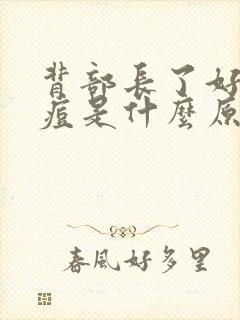 背部长了好多痘痘是什么原因