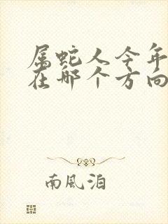 属蛇人今年财运在哪个方向