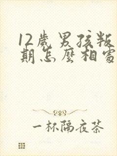 12岁男孩叛逆期怎么相处