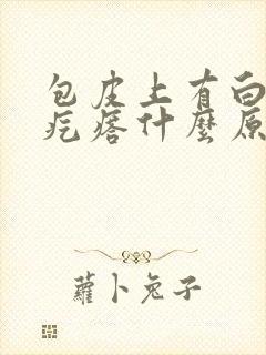 包皮上有白色小疙瘩什么原因封面