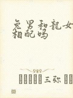 兔男和龙女属相相配吗封面