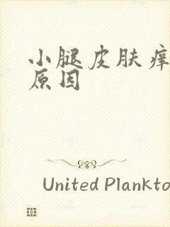 小腿皮肤痒是啥原因